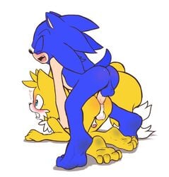 anal anus ass balls gay on_all_fours penis rexin sonic_(series) sonic_the_hedgehog tails