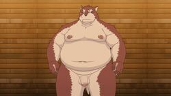 animal animated anthro bara big_eyebrows big_nipples brown_hair canine censored chubby fat furry gay gif growth iwano kemono male male_only muscles nipples penis ripped_clothing scar testicles transformation wolf