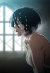 1boy attack_on_titan censored erection fellatio female female_pervert mikasa_ackerman oral penis pervert sex_invitation sexually_suggestive shingeki_no_kyojin straight