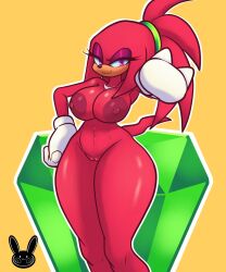 knuckles the echidna from sega by reiki arts