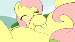 equine female female_only fluttershy_(mlp) friendship_is_magic fur mammal my_little_pony pegasus pink_hair pony smooth_skin solo sweethd tagme