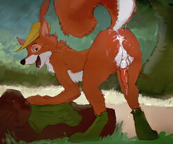 1boy after_anal after_sex anthro anus ass balls bent_over bottomless disney gay looking_at_viewer male male_only mooning presenting presenting_hindquarters raised_tail rand_(furry_artist) robin_hood_(character) robin_hood_(disney) solo tail testicles yaoi