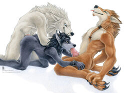 2012 all_fours anthro blue_fur breasts canine cum cum_in_mouth doggy_style fellatio female from_behind fur furry knot male nude oral oral_sex penetration penis sex shinigamigirl straight tan_fur threesome tongue video_games warcraft white_fur worgen