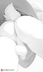 1boy anthro anus ass balls boss_monster_(undertale) bovid caprine deltarune erection fur genitals goat hi_res humanoid_genitalia humanoid_penis long_ears male male_only mammal penis ralsei simple_background solo undertale_(series) white_body white_fur yumefluff