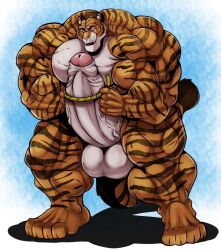 balls biceps feline male muscles muscular muscular_arms muscular_legs muscular_male muscular_thighs pecs penis tail testicles tiger