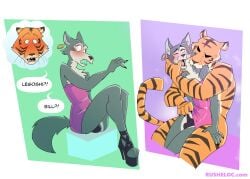 anthro beastars bill_(beastars) bite blush bulge canid canine canis claws clothed clothing crossdressing dominant dominant_male dress duo ear_piercing ear_ring eye_scar eyelashes facial_scar felid finger_in_mouth footwear high_heels legoshi_(beastars) makeup male male/male mammal neck_bite nude open_mouth pantherine panties piercing ring_piercing rusheloc scar shoes submissive submissive_male tiger underwear wolf