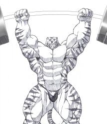 abs biceps feline male muscles muscular muscular_arms muscular_legs muscular_male muscular_thighs pecs tiger weights