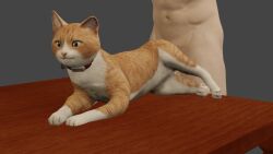 3d_(artwork) 3d_animation ambiguous_feral ambiguous_gender ambiguous_penetrated ambiguous_penetration animated blender_(artwork) blender_eevee collar digital_media_(artwork) domestic_cat duo felid feline felis feral feral_penetrated fur furniture genitals grey_background hi_res human human_on_feral human_penetrating human_penetrating_ambiguous human_penetrating_feral humanoid_genitalia humanoid_penis interspecies jiggling larger_human larger_male loop male male/ambiguous male_human male_on_feral male_penetrating male_penetrating_ambiguous male_penetrating_feral mammal multicolored_body multicolored_fur navel no_sound on_table onoono orange_body orange_fur pawpads paws penetration penis red_collar sex short_playtime simple_background size_difference smaller_ambiguous smaller_feral smaller_penetrated table thigh_jiggle two_tone_body two_tone_fur white_body white_fur wood wood_furniture zoophilia\\\\\\\\\\\\\\\\r\\\\\\\\\\\\\\\\ntongue