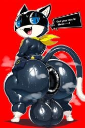 ai_generated atlus hyper_anus hyper_ass hyper_balls looking_back morgana_(persona) musk persona_5 shin_megami_tensei smug speech_bubble steaming_body sweaty text