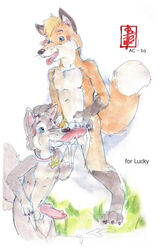 2010 anthro canine canine_penis collar cum fellatio fennec_(artist) fox fur furry furry_only gay knot luckywolf male nude oral oral_sex penis sex sketch sucking wolf