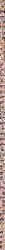 ai_generated anal anal_sex anus ass blake_belladonna blindfold bondage bondage_gear caption comic comic_page cucked_by_futa cuckold cuckolding cuckquean cum cum_drip cum_in_ass cum_in_mouth cum_in_pussy cum_inside cum_on_body cum_on_breasts cum_on_face cumshot full-package_futa full_nelson futa_focus futa_on_female futa_with_female futadom futanari hard_sex hardcore image_set impregnation impregnation_attempt impregnation_request kali_belladonna kissing licking_penis madamweaver musk musk_clouds musky musky_balls netorare ntr rape rwby squirting standing standing_sex sweat sweatdrop sweating sweaty sweaty_ass sweaty_balls sweaty_body sweaty_breasts sweaty_butt vagina vaginal_fluids vaginal_insertion vaginal_juices vaginal_masturbation vaginal_penetration vaginal_sex wet wet_body wet_pussy wet_skin yang_xiao_long