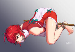 1girls armor arms_bound_to_legs ass bondage breasts cloth_gag dress female female_only fire_emblem fire_emblem_fates gag gagged gbeeee hinoka_(fire_emblem) japanese_armor japanese_clothes nintendo orange_eyes red_dress red_hair rope rope_bondage short_hair short_red_hair top-down_bottom-up