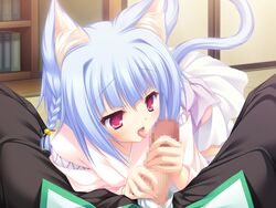 animal_ears blue_hair catgirl censored fellatio fur game_cg hair kiryuu_hina mikagami_mamizu neko_koi oral penis pink_eyes tail whirlpool