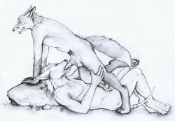 anthro canine cum cum_in_mouth erection fellatio fox fur furry gay jackal kyubi male mane oral oral_sex orgasm penis sex tanutanuki wolf wolfheart