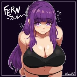 1girls artist_name big_breasts black_bra black_panties border bra breasts cleavage english_text fern_(sousou_no_frieren) huge_breasts japanese_text light-skinned_female long_hair panties pixel_art purple_eyes purple_hair seireiart sousou_no_frieren text watermark