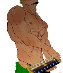 roronoa zoro from one piece by wesaier