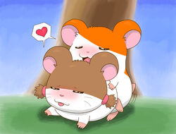 1girls blush female hamster hamtaro hamtaro_(series) male sex shadowlink350 sparkle_(hamtaro) tagme