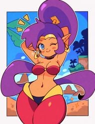 shantae (character) from shantae by tiaramisstsu
