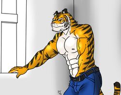 2013 abs anthro balls biceps canine feline fur furry hentist male male_only masturbation muscles no_humans pecs penis pose solo tiger toragami_gaou