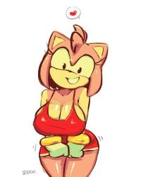amy rose from sonic (series) by edalv