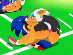 mobian (species) from sega by digitaldomain123