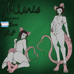1:1 anthro backsack balls breasts brown_hair ear_piercing ear_ring feet female fur genitals green_background green_hair hair hi_res hq2024 lgbt_pride mammal minnie_(hq2024) model_sheet multicolored_hair murid murine penis piercing pride_colors rat ring_piercing rodent simple_background text trans_(lore) trans_woman_(lore) transgender_pride_colors two_tone_hair vulva white_body white_fur