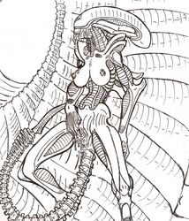 alien female female_xenomorph hivetyrant47 tagme xenomorph