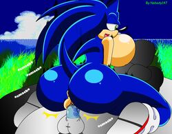 anthro ass color day exposed_torso female footwear fur furry handwear hedgehog humanoid male nobody147 outdoors penis rule_63 sex sonic_(series) sonic_1 sonic_the_hedgehog sonic_the_hedgehog_(series) tagme vaginal_penetration vulva