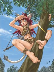 1990s 1999 1girls 20th_century amazon animal_ears animal_humanoid artist_request barefoot bow cat_ears cat_humanoid cat_tail cavewoman climbing feet female huge_eyes humanoid jungle jungle_girl kemonomimi leopard_print loincloth muscle muscular native nature ooga_booga original prehistoric primitive pussy red_hair savage savage_land solo source_request tan tarzan tree tribal unga_bunga upskirt wilderness