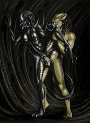 abs alien alien_(franchise) alien_vs_predator balls breasts claws cum cum_in_pussy cum_inside duo erection exoskeleton eyeless female female_penetrated female_xenomorph genitals humanoid interspecies male male_penetrating male_penetrating_female mandibles netherwulf nipples nude penetration penis predalien predator_(franchise) pussy sex spread_legs straight tail_blade vaginal vaginal_penetration xenomorph yautja