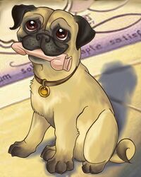 dildo discworld dog mr_fusspot pug puppy_eyes schattencyra