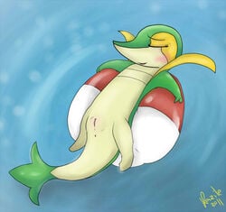 blush color female female_only feral lying nude on_back pokemon pokemon_(species) pokemon_bw razile snivy solo tagme vulva