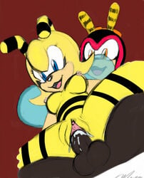 anthro bee breasts charmy_bee color cum female insertion male nipples nude penis saffron_bee sex sketch sonic_(series) straight tagme testicles vulva wings