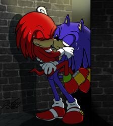 2012 furry hedgehog knuckles_the_echidna male male_only multiple_males rockgaara sonic_(series) sonic_the_hedgehog sonknux tagme yaoi