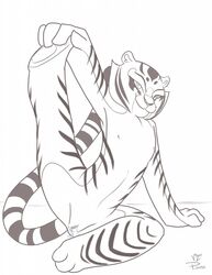 anthro kung_fu_panda master_tigress p_moss tagme