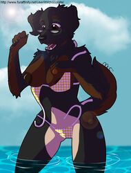 anthro aysu beach bikini bone breasts canine collar eyewear female fur furry glasses mrchocolate mutt nude seaside skimpy swimsuit water