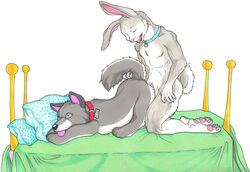 anthro bed canine collar fur furry hopps humping kamilya lagomorph luckywolf male nude penis plushie plushophilia rabbit sex wolf