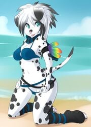 anthro beach bikini black_fur black_hair canid canine canis clothes color cute cyan_eyes dalmatian day domestic_dog female female_only fur furry furry_tail green_eyes hair kara_resch kneeling looking_at_viewer looking_left mammal outdoors pink_nose pussy sand scarf seaside skimpy_clothes sky solo spazzykoneko tail tongue tongue_out water white_fur white_hair