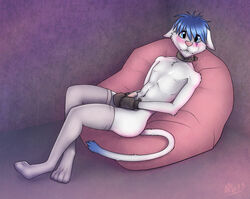 1boy 2013 anthro bean_bag blue_eyes blue_hair blush collar crossdressing cum embarrassed erection feline fist_mitts fur furry hair looking_at_viewer male male_only penis solo stockings wolfurryon