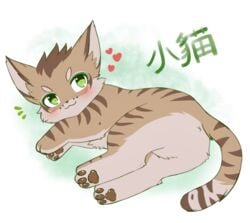 ambiguous_gender anus blush brown_fur feline feral fur green_eyes heart lying male_only mammal nekojishi on_side pawpads shu-chi sunnynoga x_anus