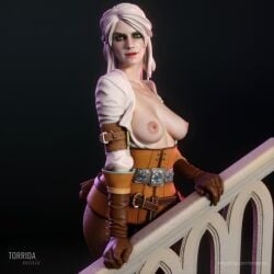 3d breasts cd_projekt_red ciri clothing female figurine gloves green_eyes light-skinned_female looking_at_viewer mascara model nipples scar solo solo_female the_witcher_(series) the_witcher_3:_wild_hunt torrida white_hair