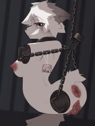4_missing_limbs absurd_res breasts collar collar_only disability female fur genitals green_eyes grey_body grey_fur happy happy_sex hi_res male male/female missing_arm missing_leg naotao nipples nude nude_female nude_male penis piercing pussy red_eyes rock sex suqiu_(character) teeth vaginal_penetration vulva white_body