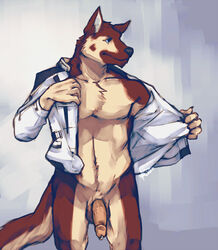 1boy anthro balls bottomless boulevard canine flaccid fur furry german_shepherd male male_only penis piercing raymond_(sidian) solo undressing