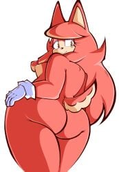 conductor's wife (sonic) from sega by derekin4k