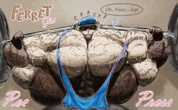 aaat-da abs anthro anthro_female barely_clothed bulky_female cap ferret_girl_(aaat) flexing furry_female huge_arms huge_pecs hyper hyper_muscles lifting meaty muscular muscular_arms muscular_female muscular_legs nipples oc ribbon smug strong_female veins veiny_muscles