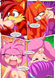 amy rose from archie comics by bbmbbf