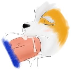 avian canine cum falco_lombardi fellatio fox fox_mccloud kp-yoshi male multiple_males nintendo oral oral_sex sex star_fox video_games yaoi