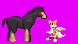 ahe_gao anal anal_sex animated big_ass big_belly big_penis blue_eyes closed_eyes cum cum_in_ass cum_inside cum_on_face doggy_style equine_penis gay happy head_down horse horsecock inflation male miles_tails_prower mp4 pixel_art project_x_love_potion_disaster sega sickle_the_fox_(artist) sonic_(series) sonic_the_hedgehog_(series) sound tagme tails tails_the_fox thick_thighs video wild_horse_(project_x) zoophilia