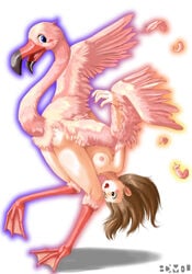 avian beak bird body_horror breasts edmol feathers flamingo neck tagme transformation upside-down webbed_feet what wings