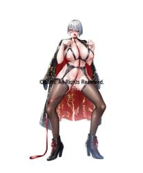 hidou rei from taimanin (series)